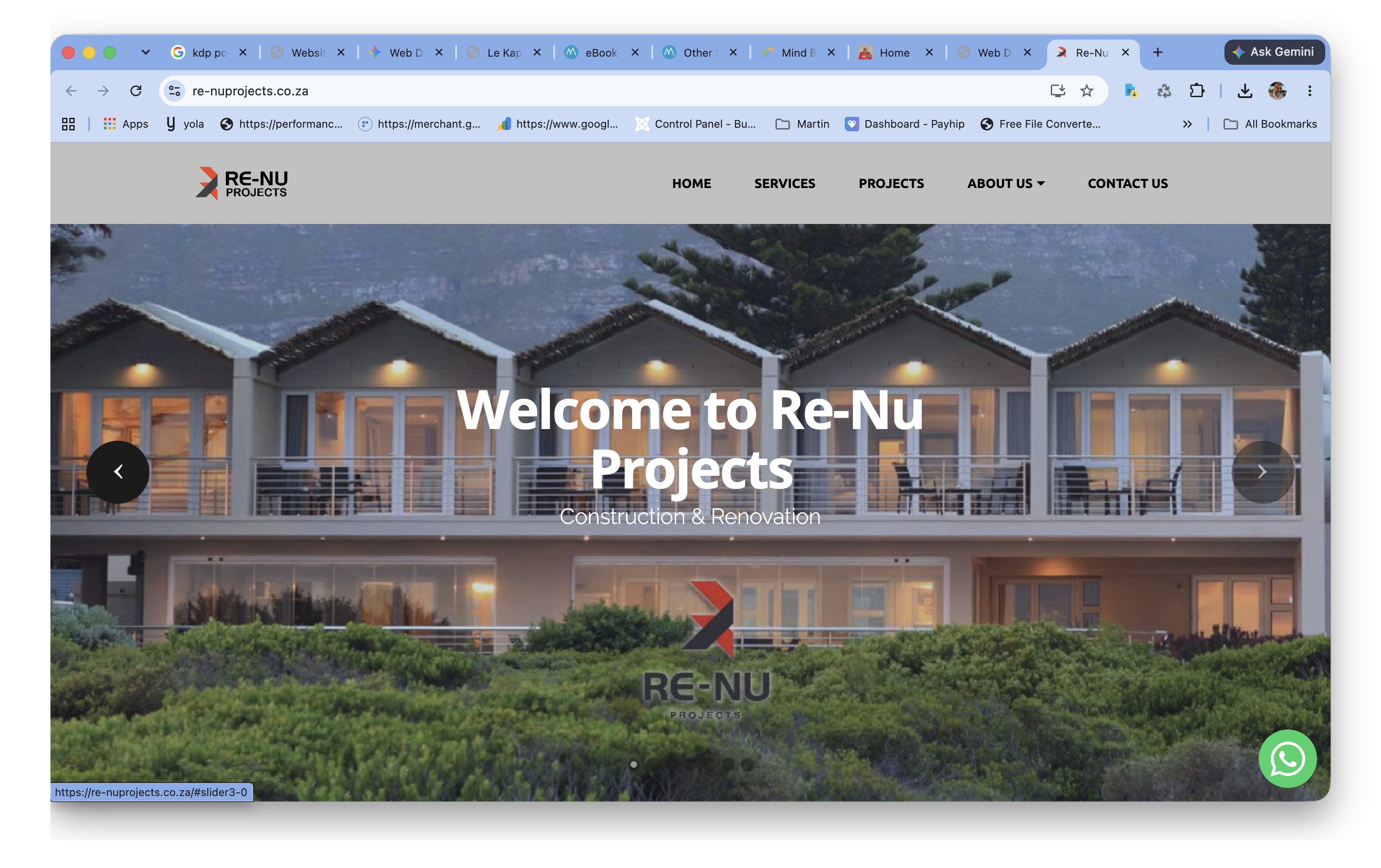 Re-Nu Projects Website Preview